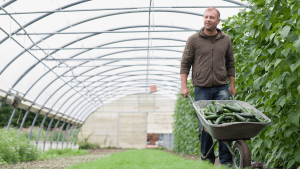 Food waste and staff shortages – a structural problem in the Netherlands