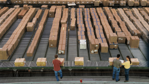 The Dutch economy is growing and companies need workers.