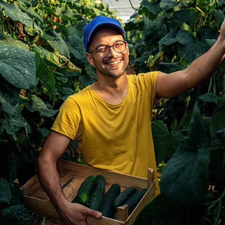 Vegetable Harvest Worker