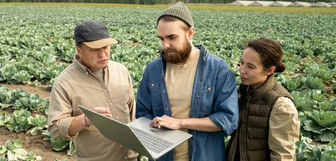 Do you need seasonal workers in the Netherlands?
